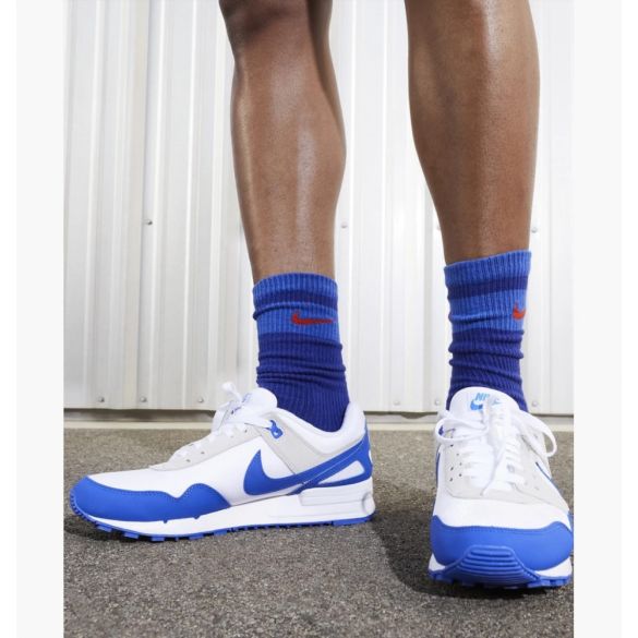 Кросівки Nike Air Pegasus 89 FN3415-100_image_3
