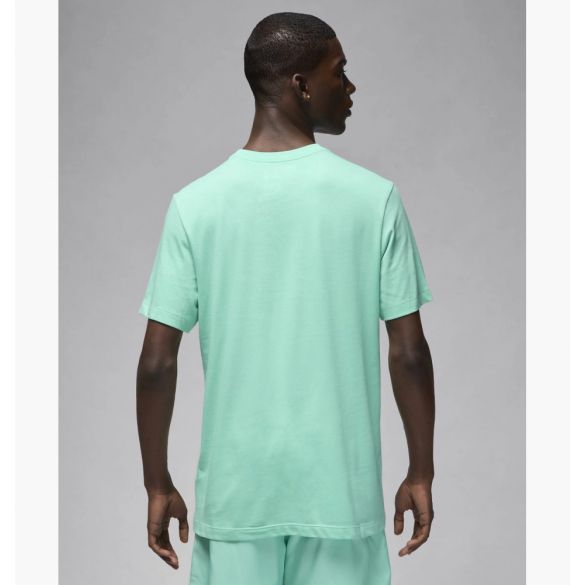Футболка Nike Jordan Jumpman Embroidered Crew DC7485-349_image_2