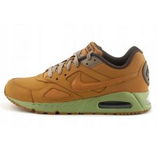 Кросівки Nike Air Max Ivo CD1534-700