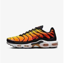 Кроссовки мужские Nike Air Max Plus 2024 HF0552-001_image_33