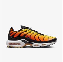 Кроссовки мужские Nike Air Max Plus 2024 HF0552-001_image_33
