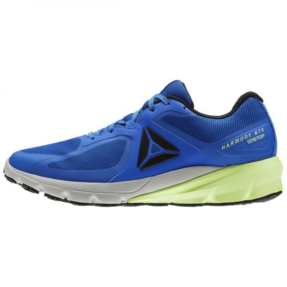 Чоловічі кросівки Reebok OSR Harmony Road GTX BS8524_image_2