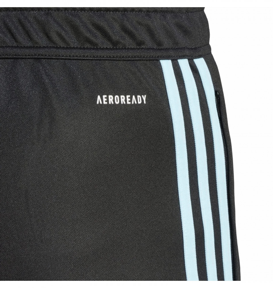 Штаны мужские Adidas Pants Tiro23 Cb Trpnt IL9549_image_3