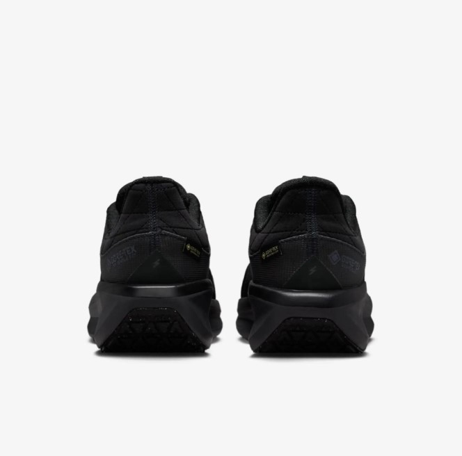 Женские кроссовки Nike W Air Winflo 11 Gtx FQ1359-001_image_5