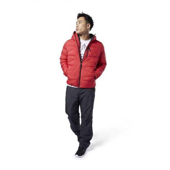 Чоловік пуховик Reebok Outerwear Synthetic DX2420_image_3