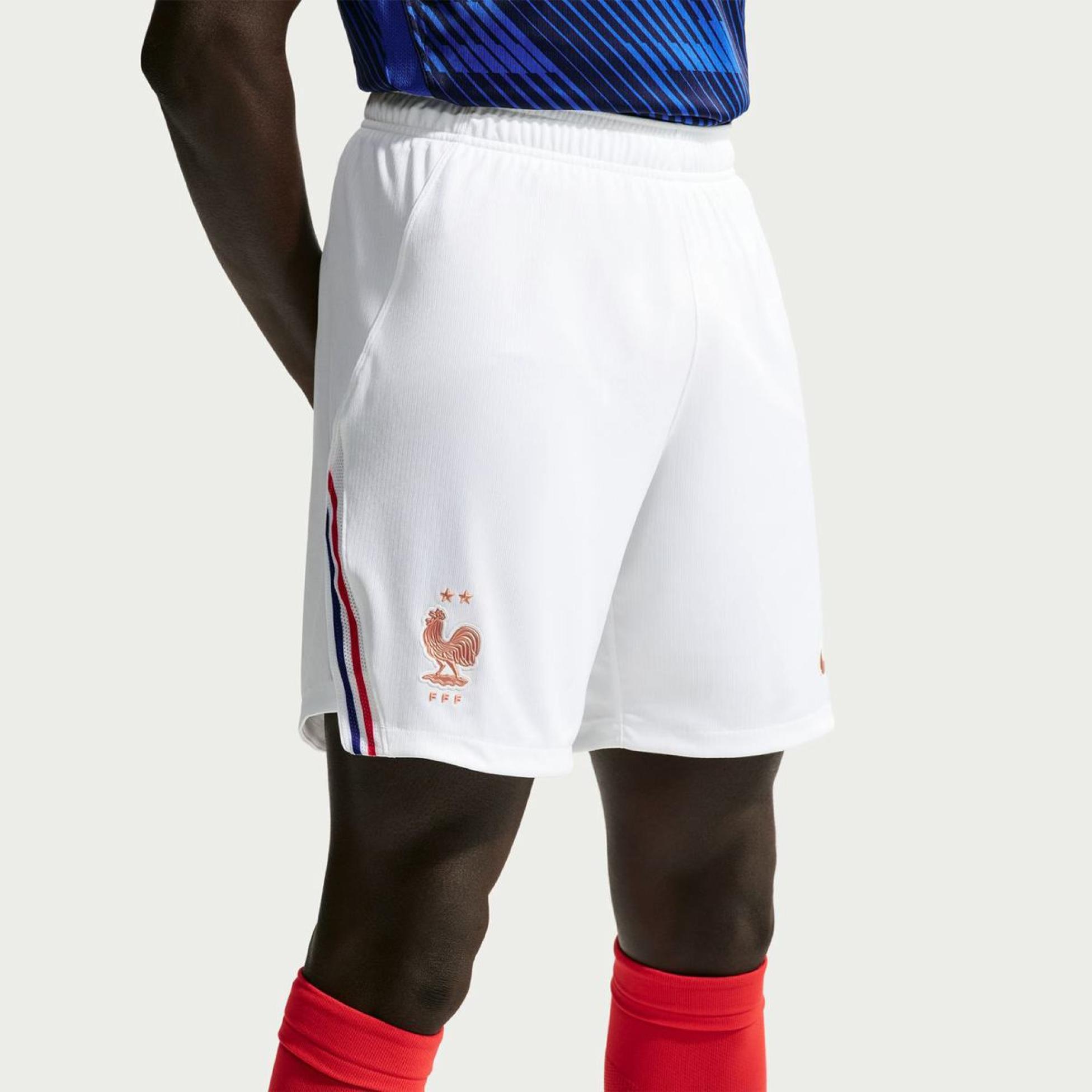 Чоловічі шорти NIKE FFF M NK DF SHORT STAD HM