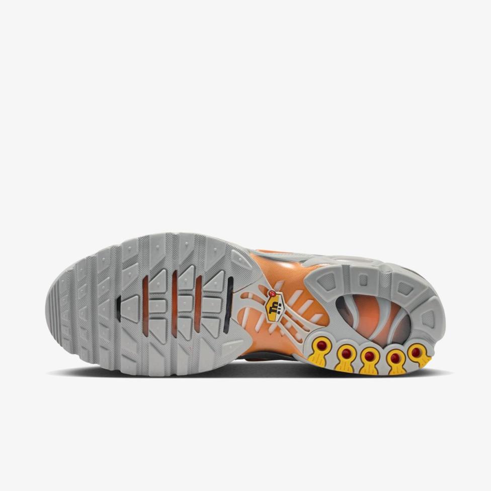 Чоловічі кросівки NIKE AIR MAX PLUS