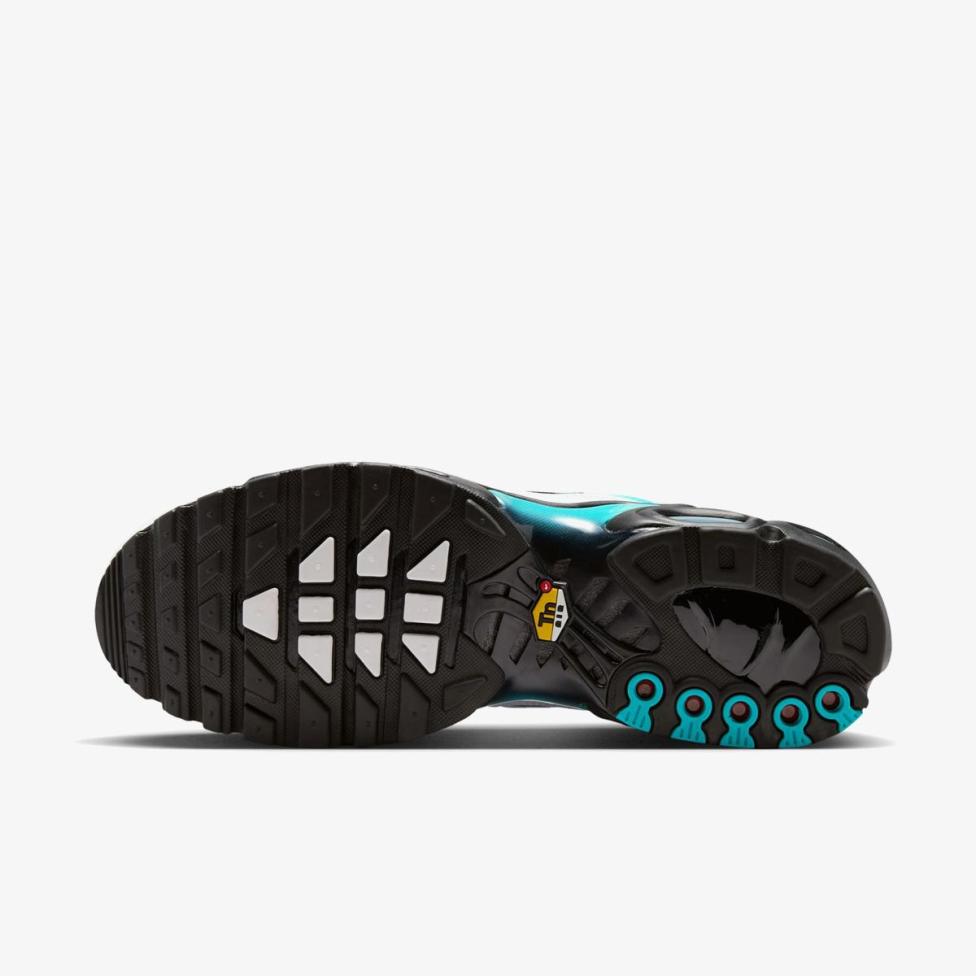 Чоловічі кросівки NIKE AIR MAX PLUS
