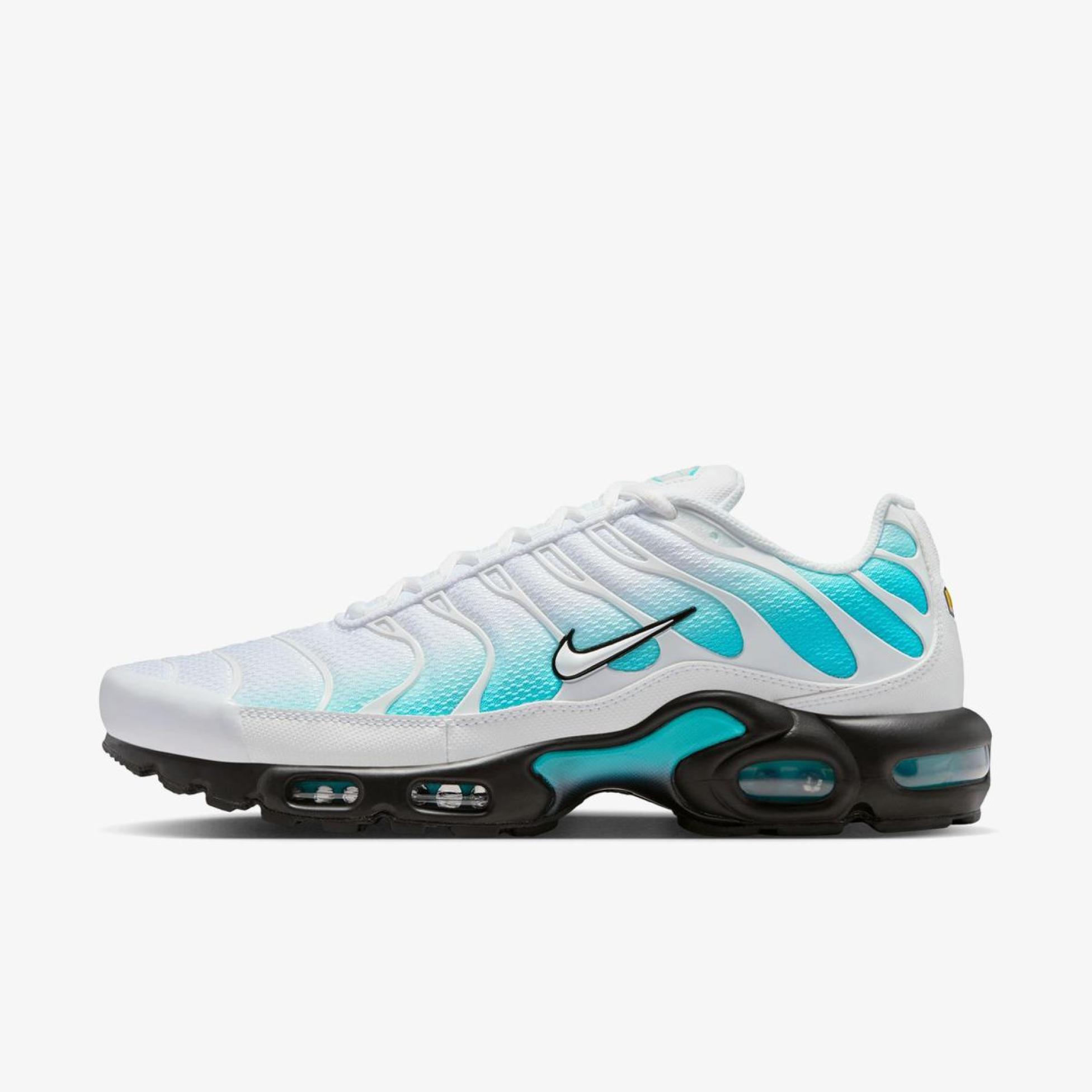 Чоловічі кросівки NIKE AIR MAX PLUS