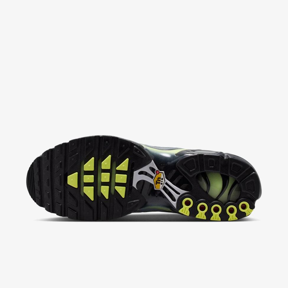 Чоловічі кросівки NIKE AIR MAX PLUS