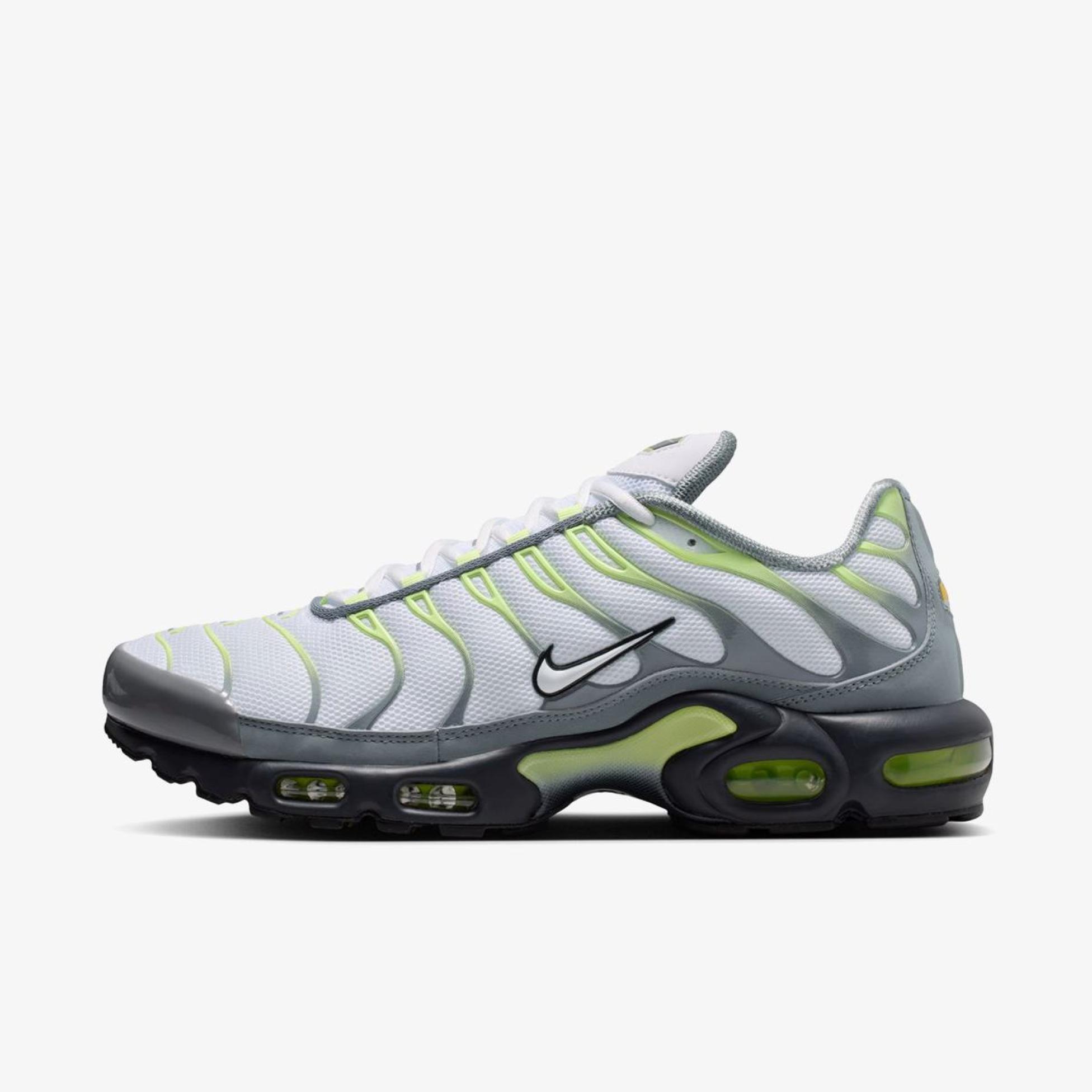 Чоловічі кросівки NIKE AIR MAX PLUS