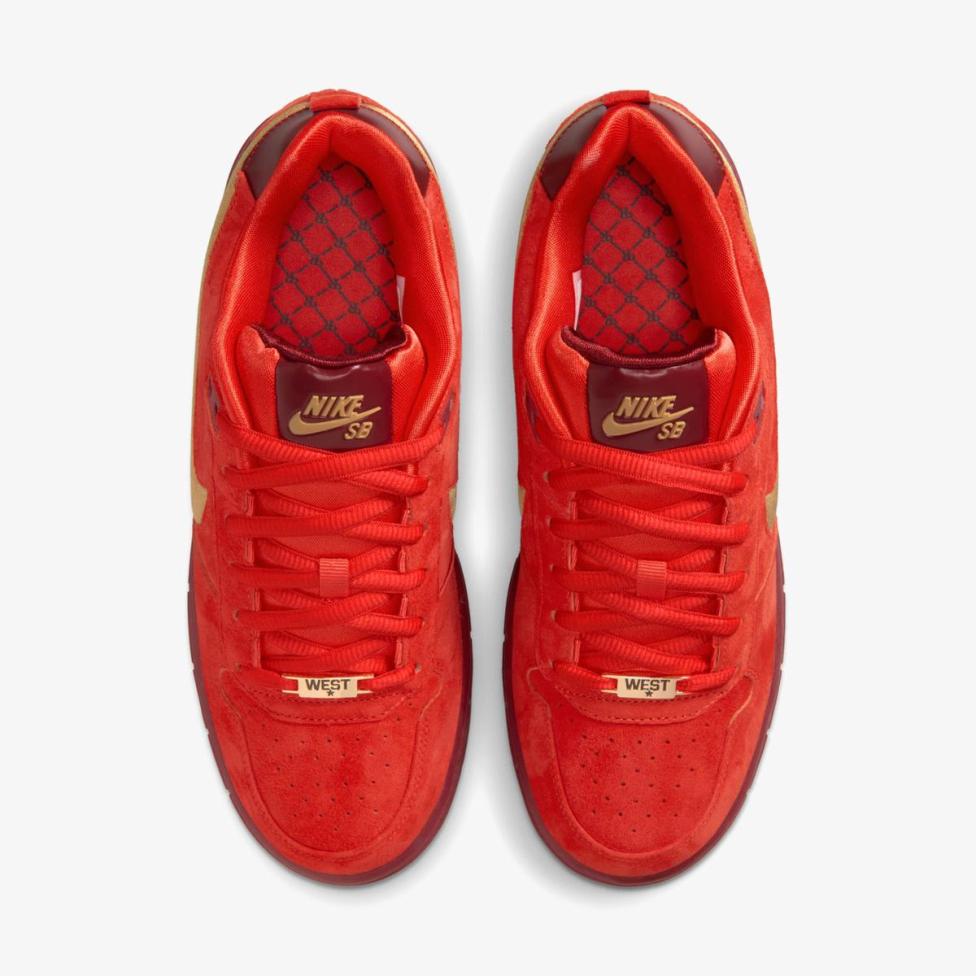 Чоловічі кросівки NIKE PAUL RODRIGUEZ ZOOM AIR LOW QS_image_4