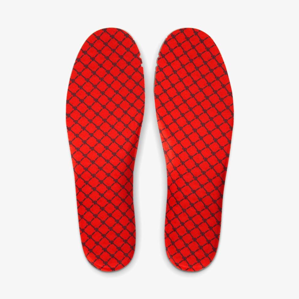 Чоловічі кросівки NIKE PAUL RODRIGUEZ ZOOM AIR LOW QS_image_11