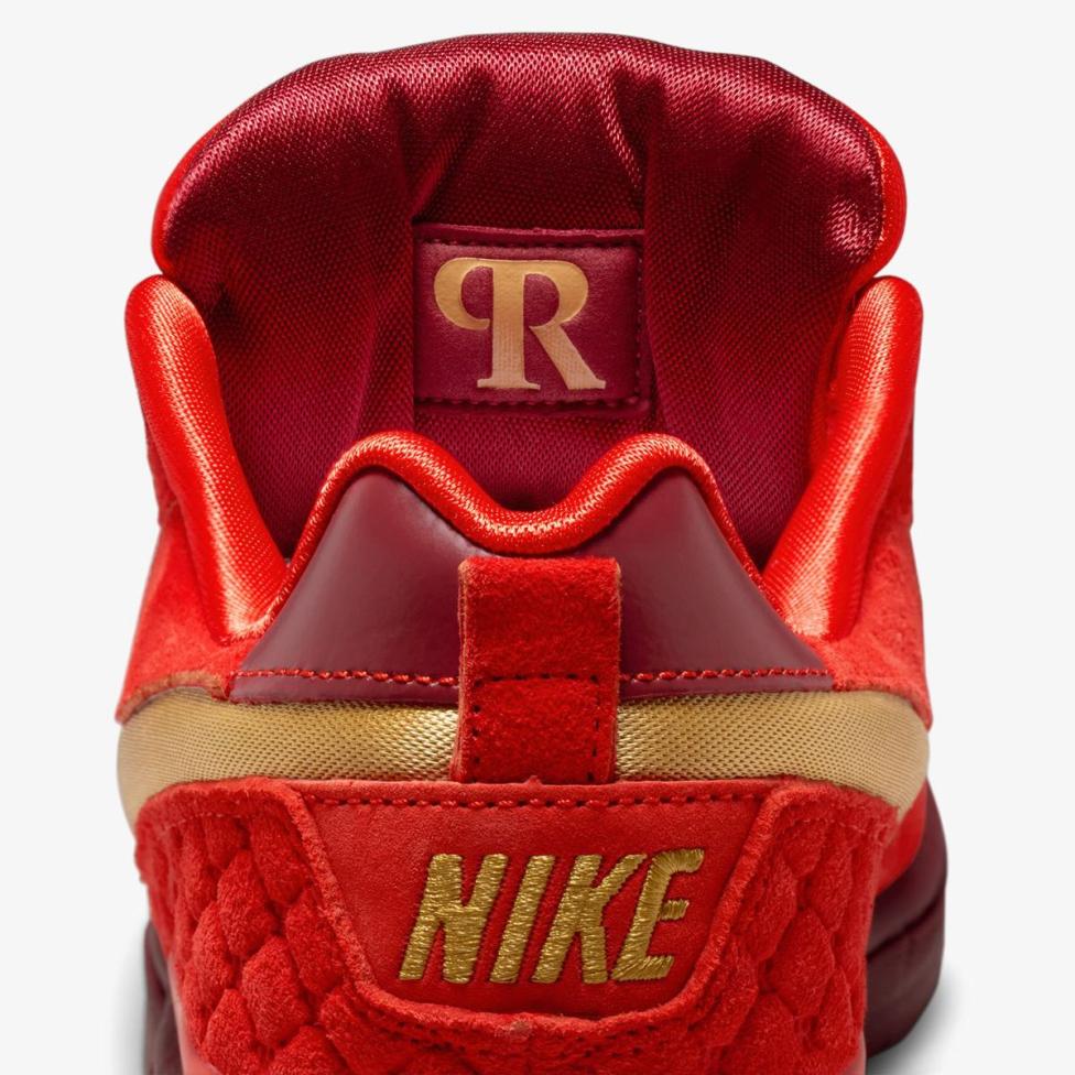 Чоловічі кросівки NIKE PAUL RODRIGUEZ ZOOM AIR LOW QS_image_10