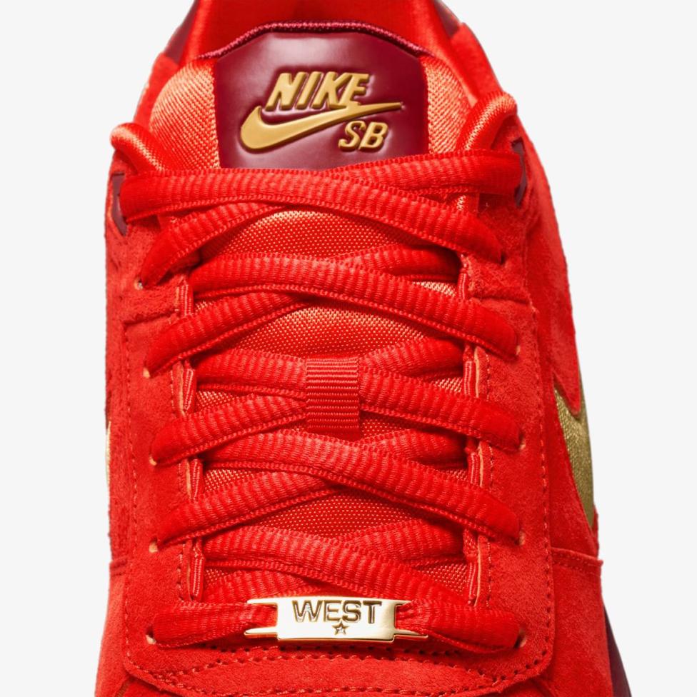 Чоловічі кросівки NIKE PAUL RODRIGUEZ ZOOM AIR LOW QS_image_9