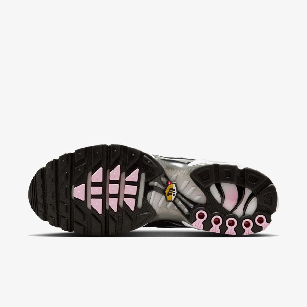 Чоловічі кросівки NIKE AIR MAX PLUS