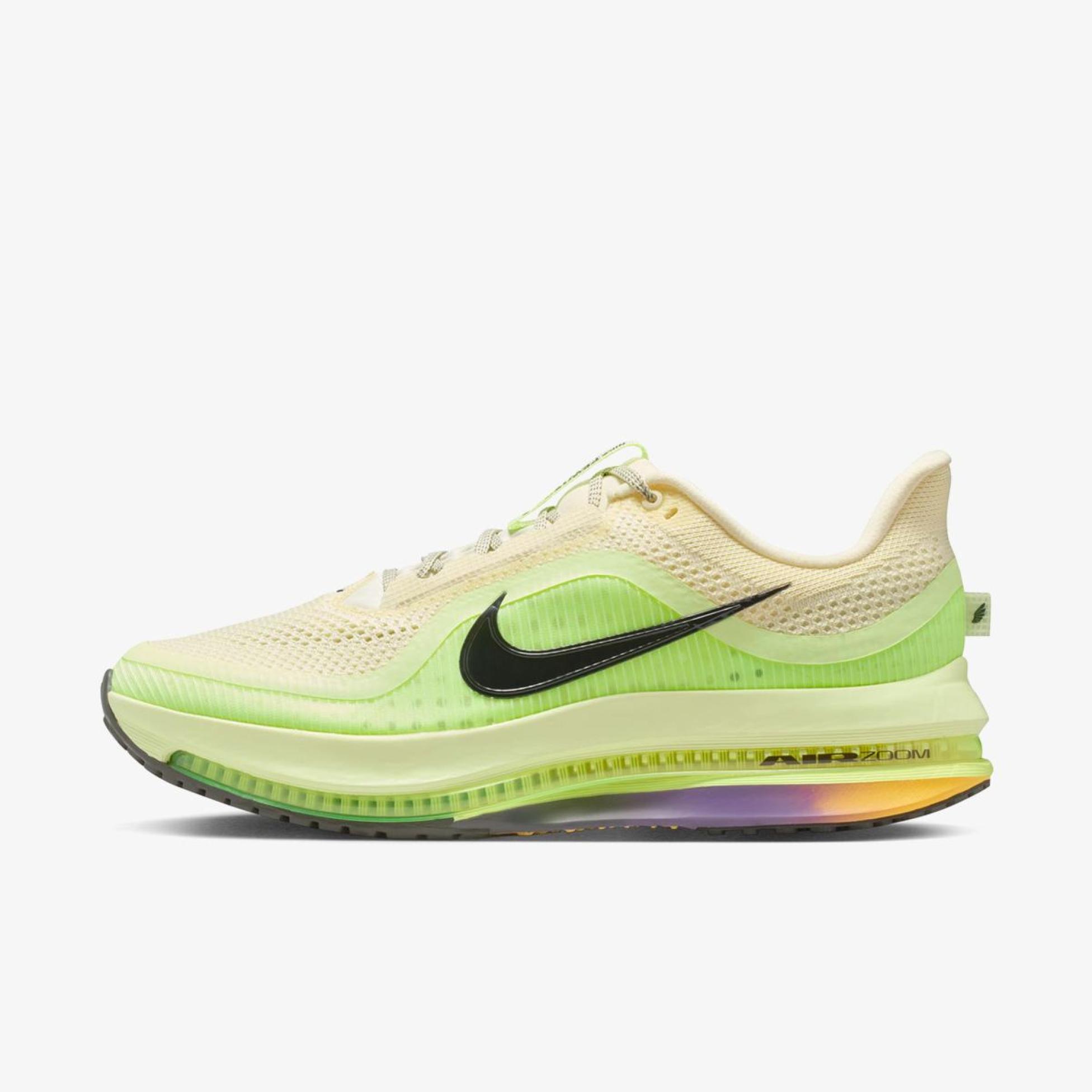 Чоловічі кросівки NIKE PEGASUS PREMIUM