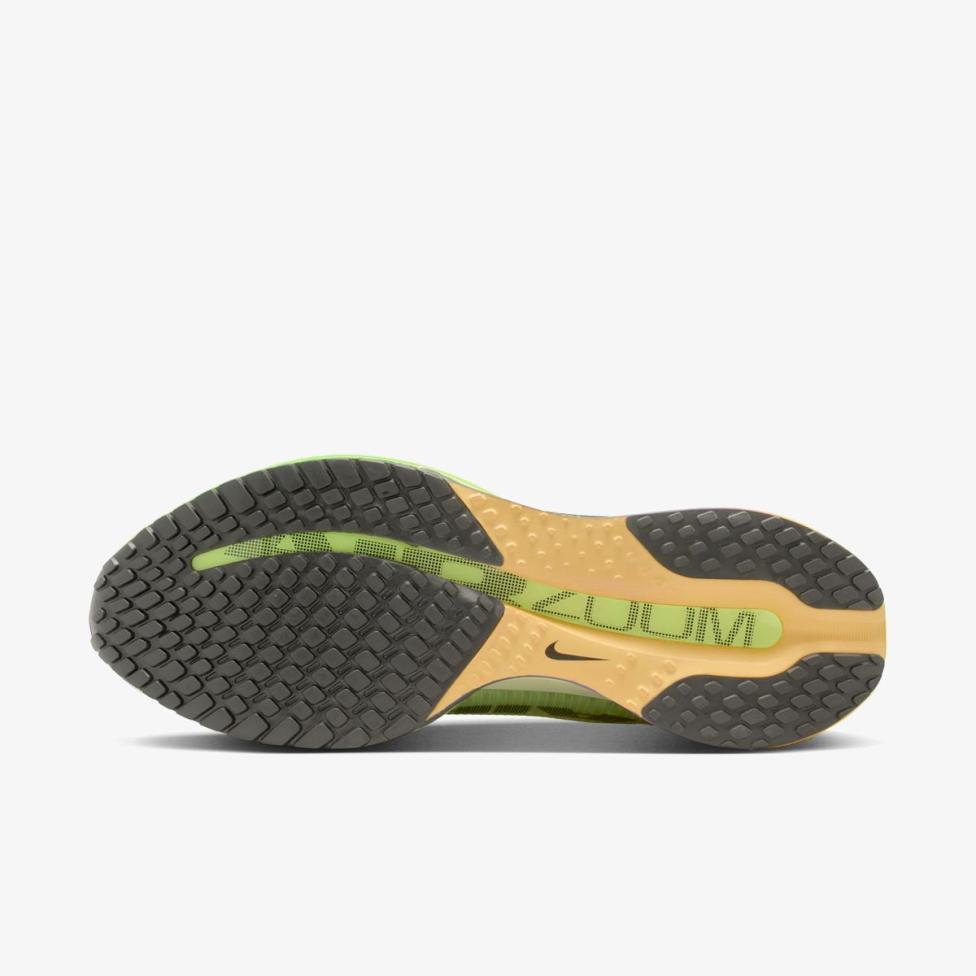Чоловічі кросівки NIKE PEGASUS PREMIUM