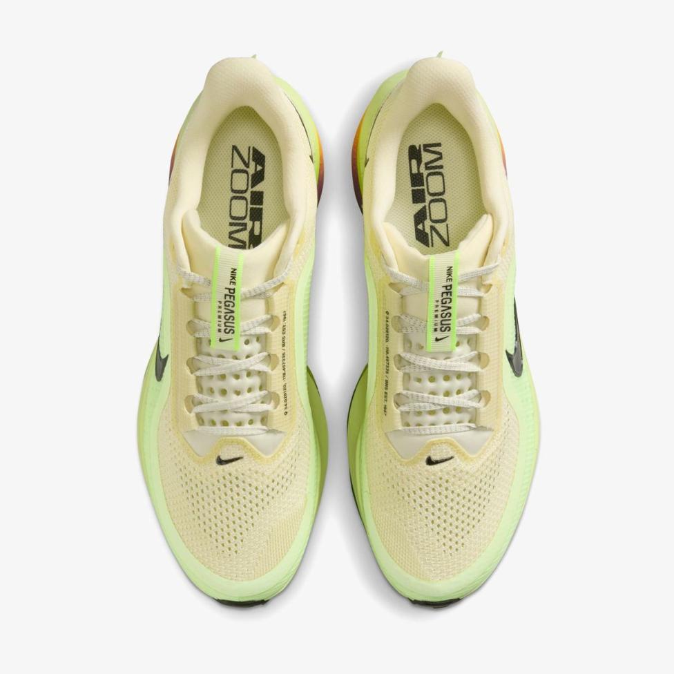 Чоловічі кросівки NIKE PEGASUS PREMIUM_image_4
