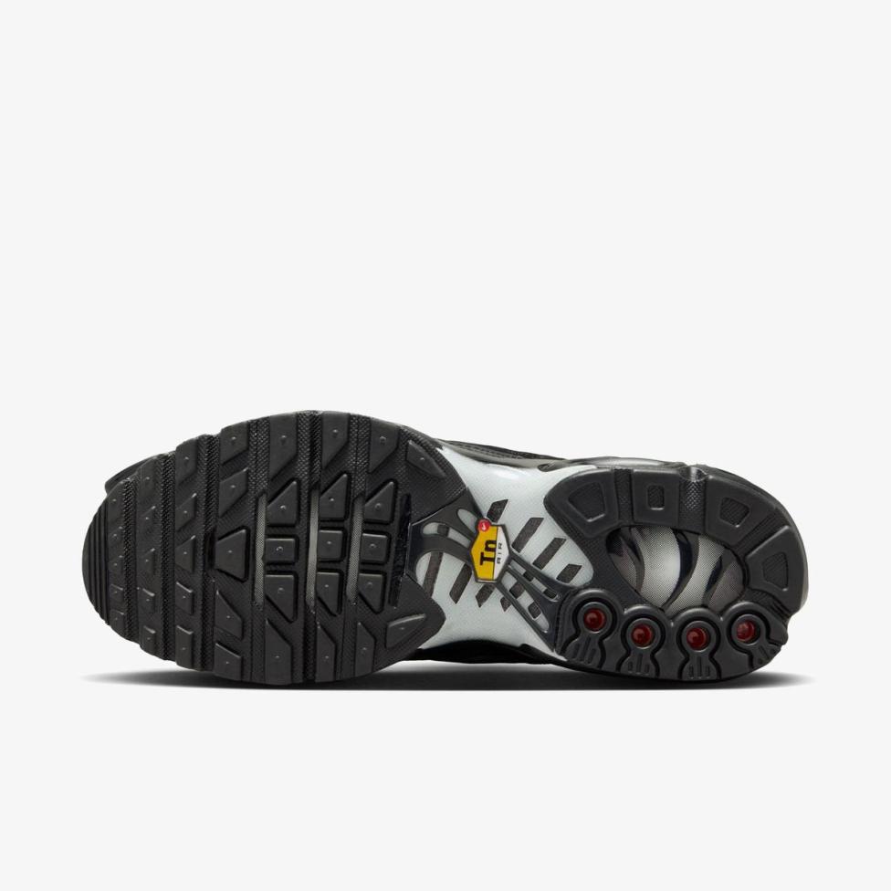 Жіночі кросівки NIKE AIR MAX PLUS