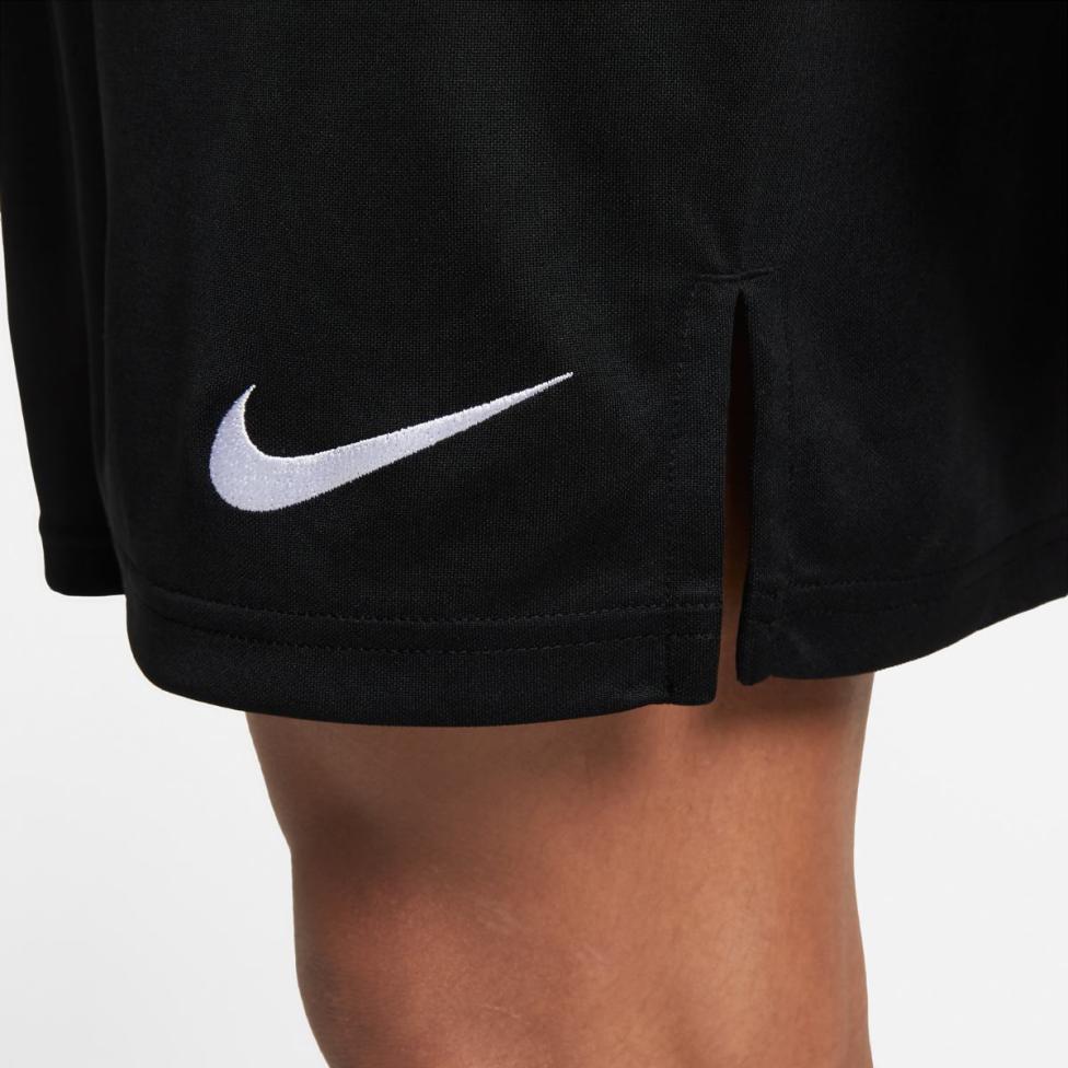 Чоловічі шорти NIKE DRI-FIT_image_6