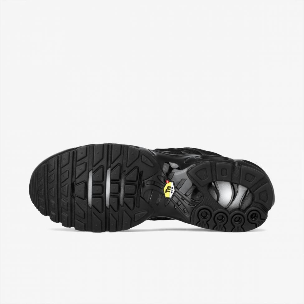 Чоловічі кросівки Nike AIR MAX PLUS