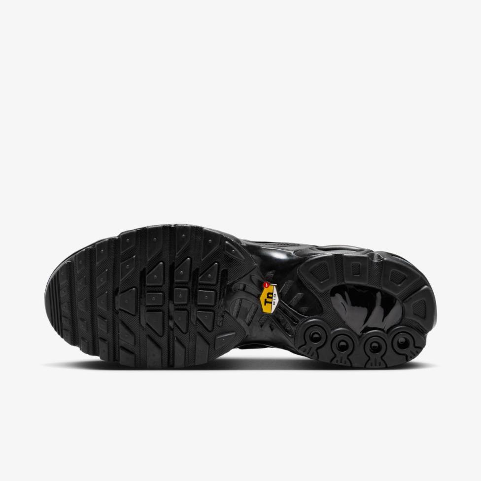 Жіночі кросівки NIKE WMNS AIR MAX PLUS
