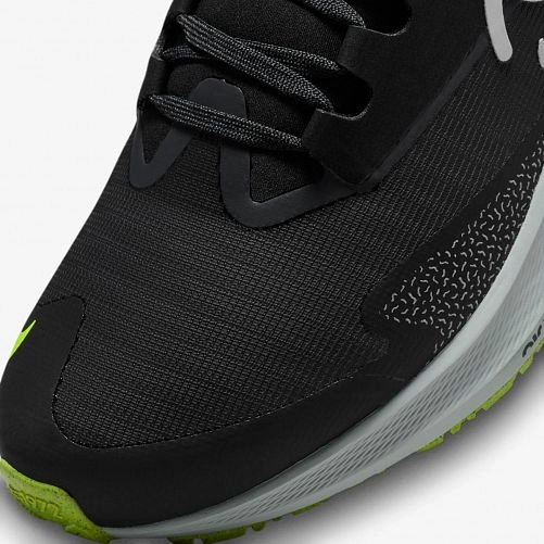 Кросівки Nike Air Zoom Pegasus 39 Shield Do7626-002_image_3